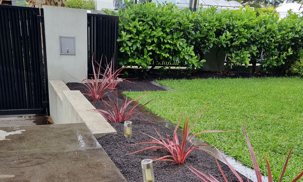 professional gardener Alex Thompson Gardens